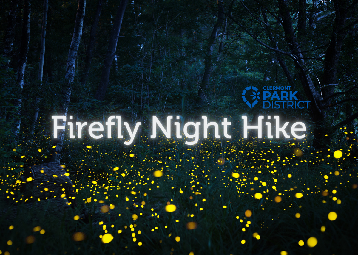 A light-spotted field with Firefly Night Hike overlaid